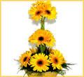 Yellow Gerbera Bouquet with greens
