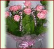 10 Pink Dutch Roses Bouquet