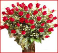 50 Dutch Red Roses Bouquet