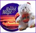 Teddy Bear & Cadburys Chocolates Box