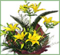 Yellow Asiatic Lily Bouquet