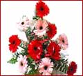 10 Red & Pink Gerbera Bouquet