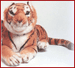 Royal Bengal Tiger(Medium)