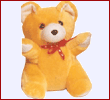 Teddy Bear(medium size)
