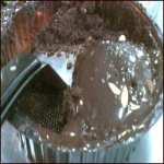 Chocolate Mudpie(1 kg)