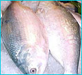 2 kgs. Iilish Maach(cut into pieces)